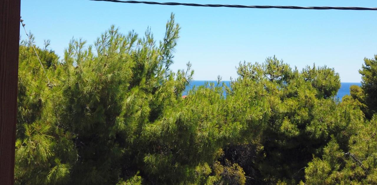 Fistiki Rooms Αγία Μαρίνα Εξωτερικό φωτογραφία