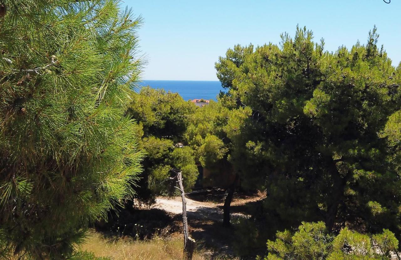 Fistiki Rooms Αγία Μαρίνα Εξωτερικό φωτογραφία